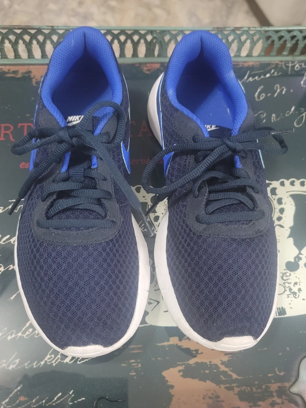 Nike Navy & Blue Running Sneakers